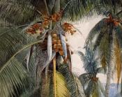 温斯洛荷默 - Coconut Palms, Key West